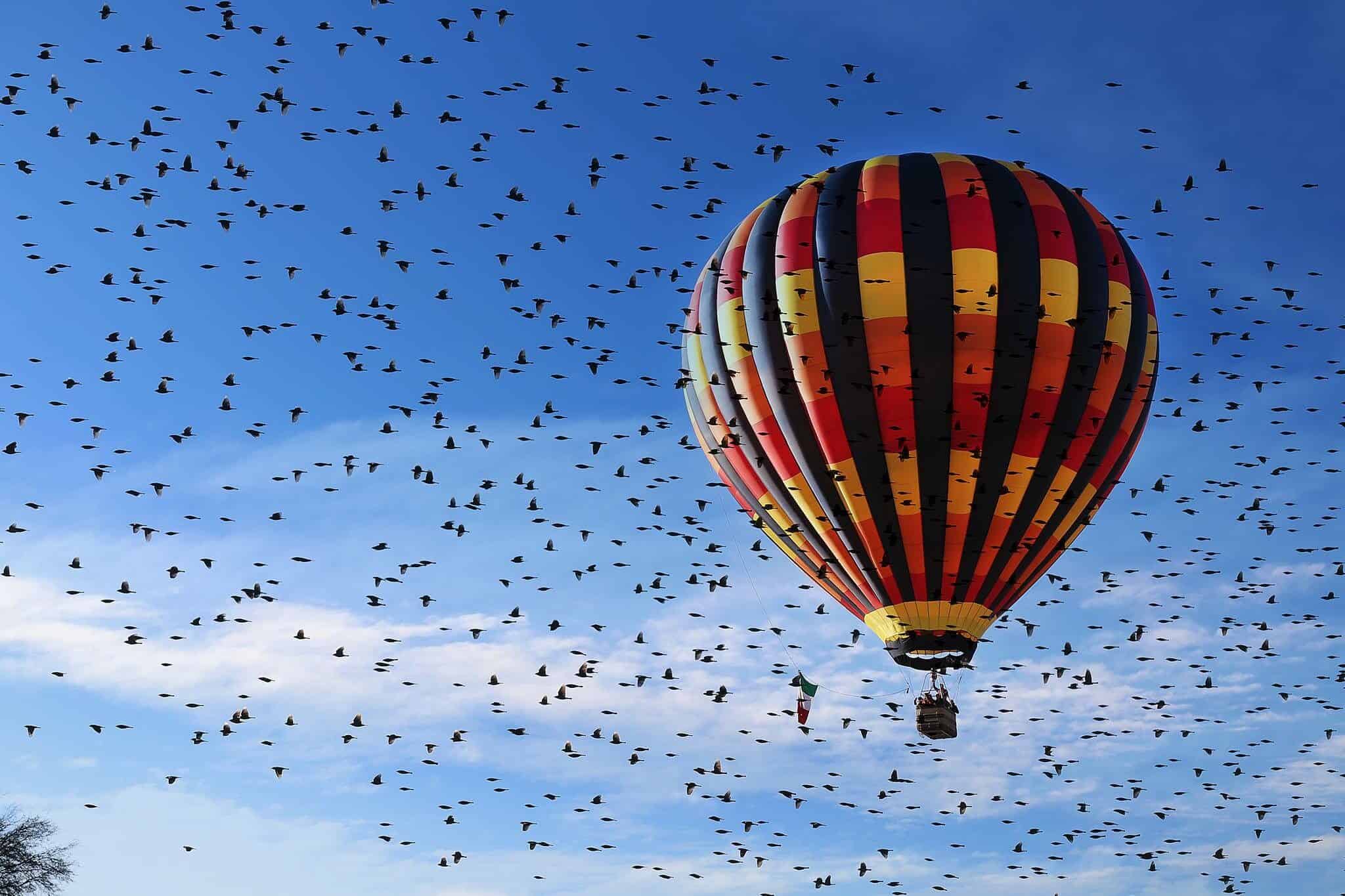 globos aerostáticos en Tequisquiapan Querétaro