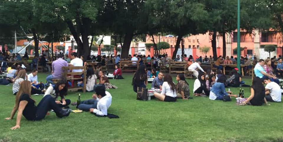 ruta del vino y el queso en tequis